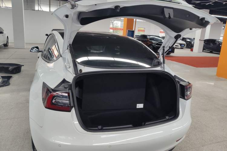 Used Tesla Model 3 2021 Performance High-Performance All-Wheel-Drive Version