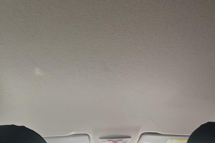 Used Baojun RC-5 2020 1.5L Manual Zhiyao Elite Edition Headliner