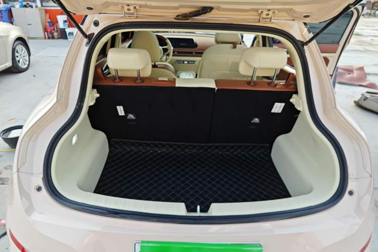 Used ORA Good Cat 2024 401 km Luxury Version