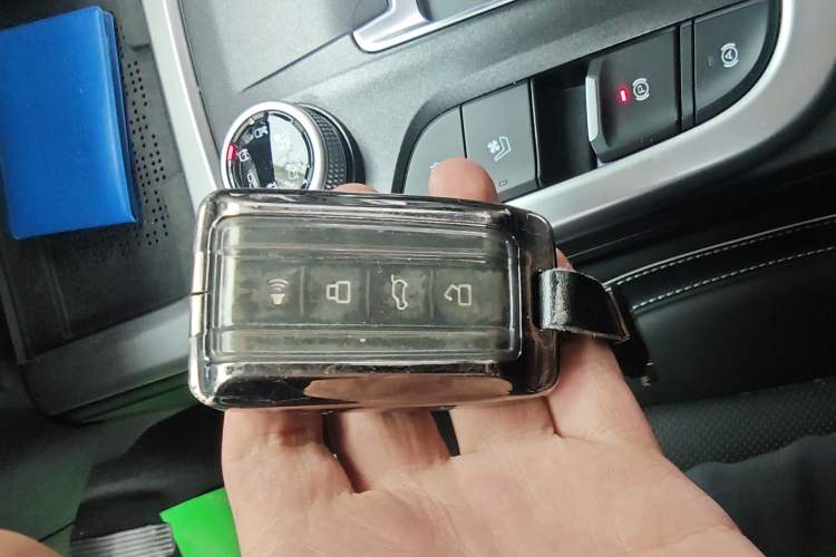 Used Tank 300 2024 2.0T Crosser
