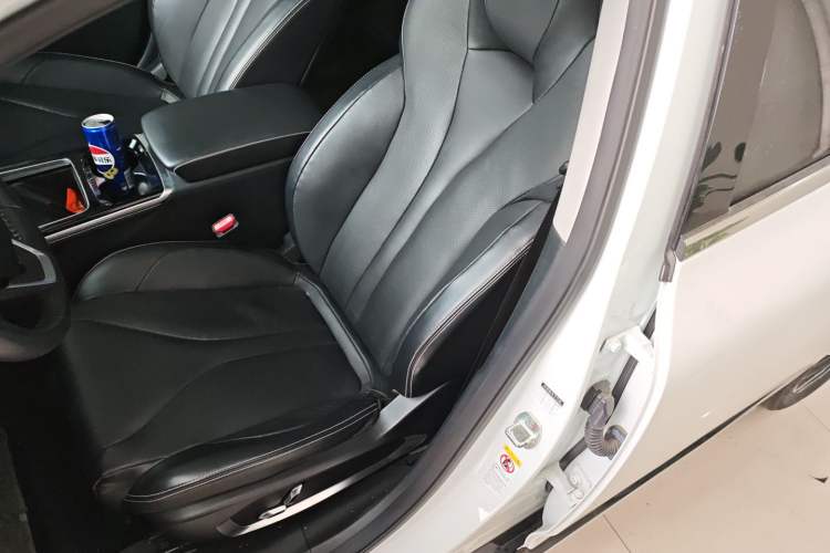 Used XPeng P5 2021 460G+ Left Front Seat