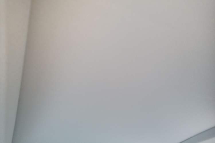 Used GAC Trumpchi GS8 2017 320T Two-Wheel Drive Luxury Smart Connectivity Version (7 Seats) Headliner