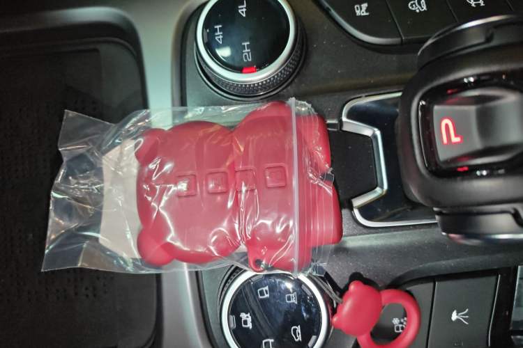 Used Tank 300 2024 2.0T Conqueror