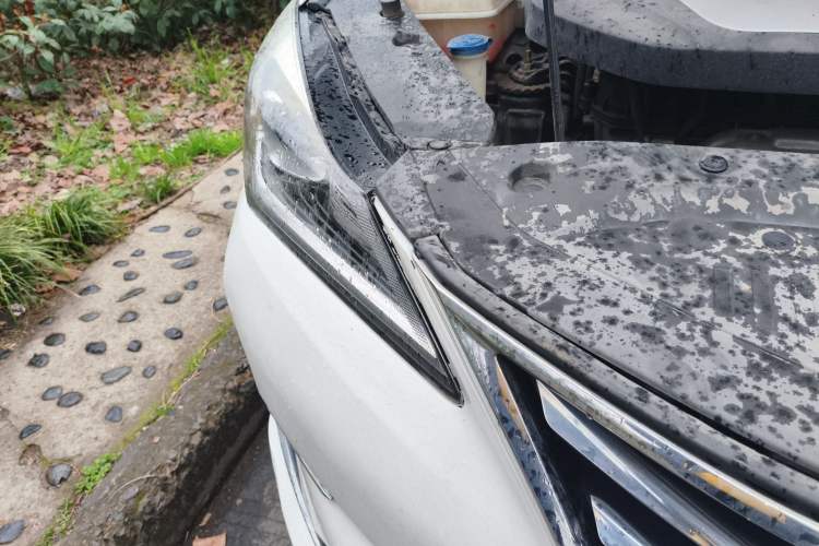 Used Changan Eado 2018 High-Energy Edition 1.6L GDI Automatic Zhenfeng Model China V Standard