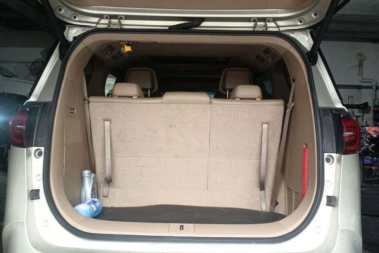 Used Buick GL8 2020 ES Land Cruiser 653T Flagship Model Trunk