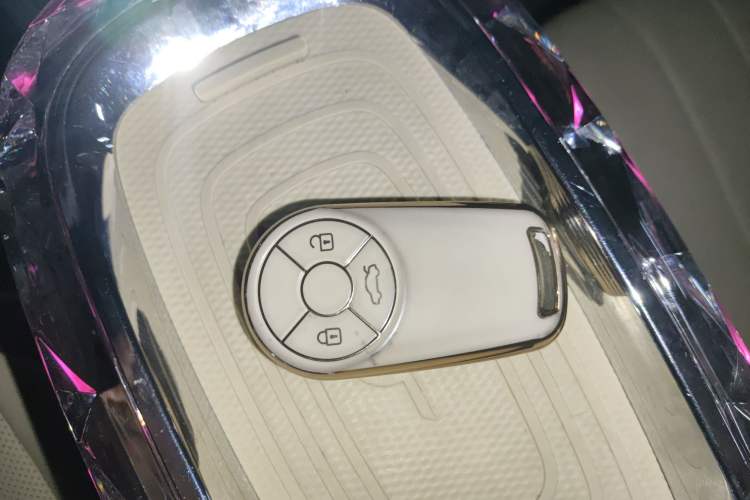 Used ORA Ballet Cat 2022 500 km Swan Lake Edition