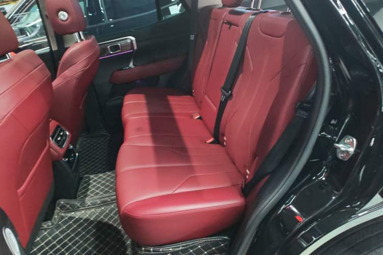 Used Tank 400 New Energy 2023 Hi4-T Super Edition Left Rear Seat