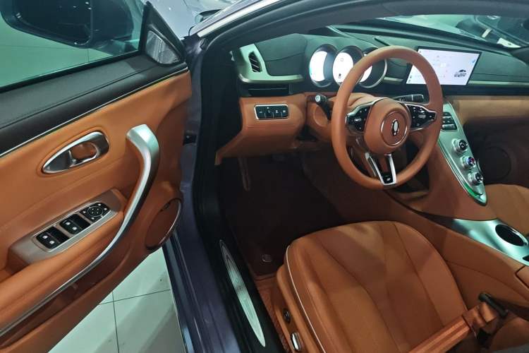 Used ORA Lightning Cat 2022 555 km Luxury Edition
