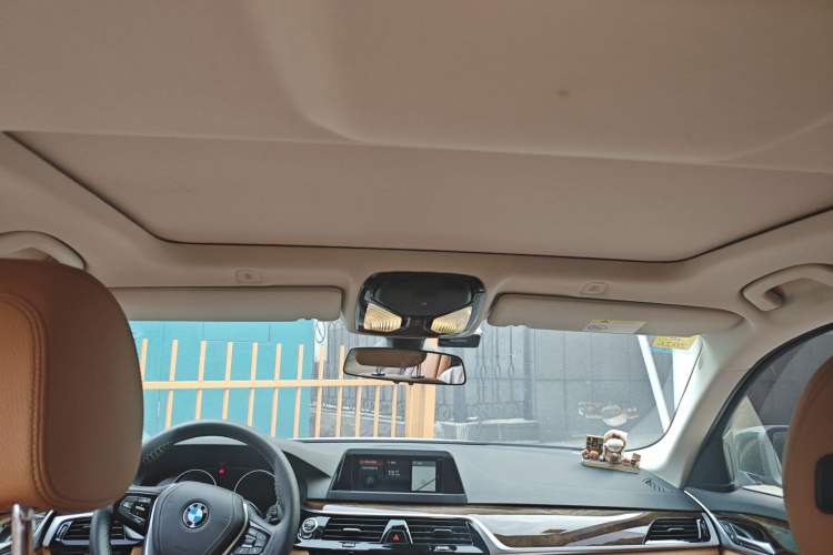 Used BMW 5 Series 2018 528Li Launch Special Edition Headliner