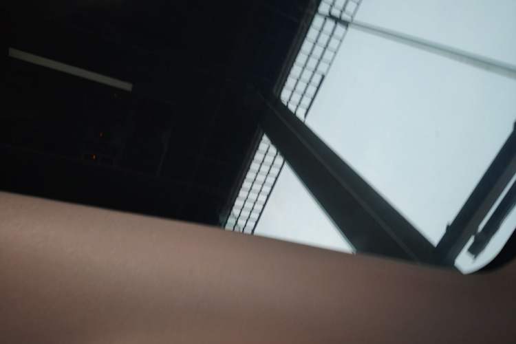 Used BAIC Off-Road BJ40 2026 Model 2.0D Diesel Edition Headliner