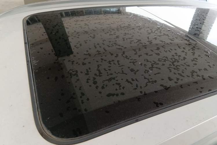 Used Haval H6 2021 1.5T Automatic Champion Edition Roof