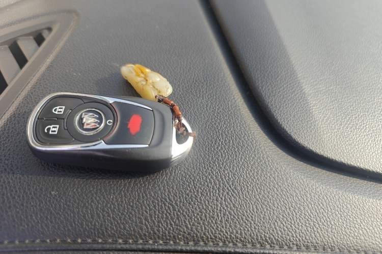 Used Buick GL8 2020 ES Land Cruiser 653T Comfort Edition