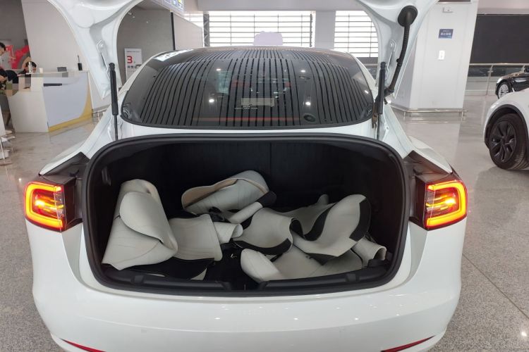 Used Tesla Model 3 2020 Revised Version Standard Range Rear-Wheel Drive – Upgraded Edition