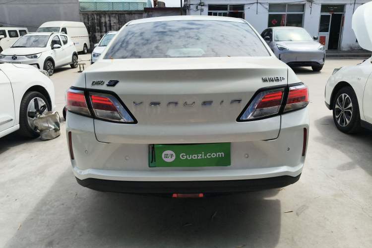 Used Venucia D60EV 2020 Standard Range T3 Rear