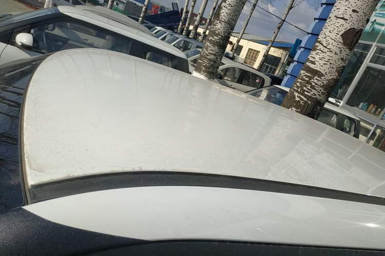 Used Qiyuan Lumin 2025 205 km Xiangqin Version
