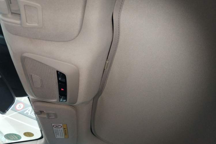 Used XPeng P7 2020 670N Headliner