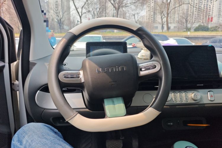 Used Qiyuan Lumin 2023 205km Xiangqin Version
