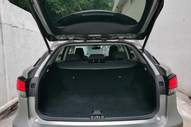 Used Lexus RX 2020 Revised Version 300 Two-Wheel Drive Elite Edition Trunk