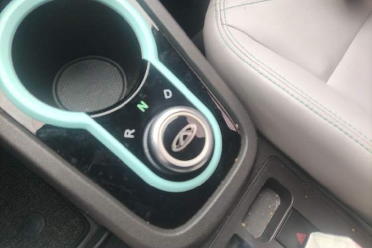 Used Chery Little Ant 2021 200 000 Yuan "Ant Fan" Edition Energized Version NMC Lithium Battery 301 km