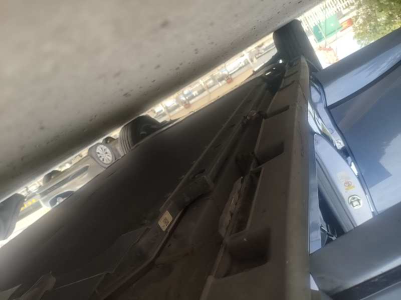 Used BYD Dolphin 2024 Honor Edition 420km Freedom Version — 20