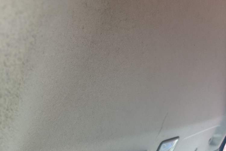 Used FORTHING Lingzhi 2017 V3 1.5L 7-Seater Comfort Model Headliner