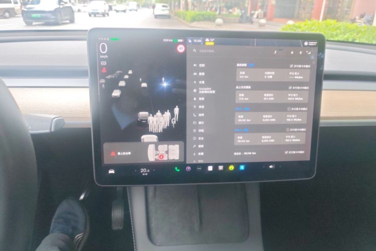 Used Tesla Model Y 2021 Standard Range Rear-Wheel Drive Version
