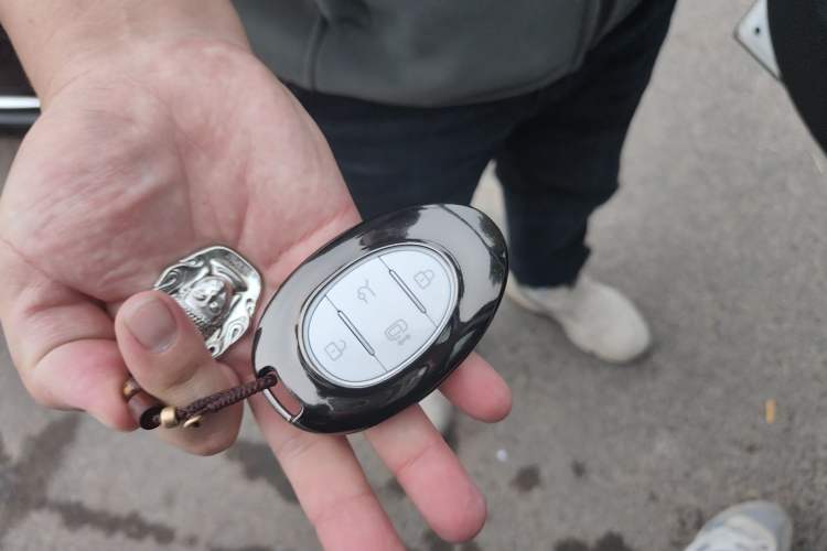 Used ARCFOX Kaola S 2024 AIR
