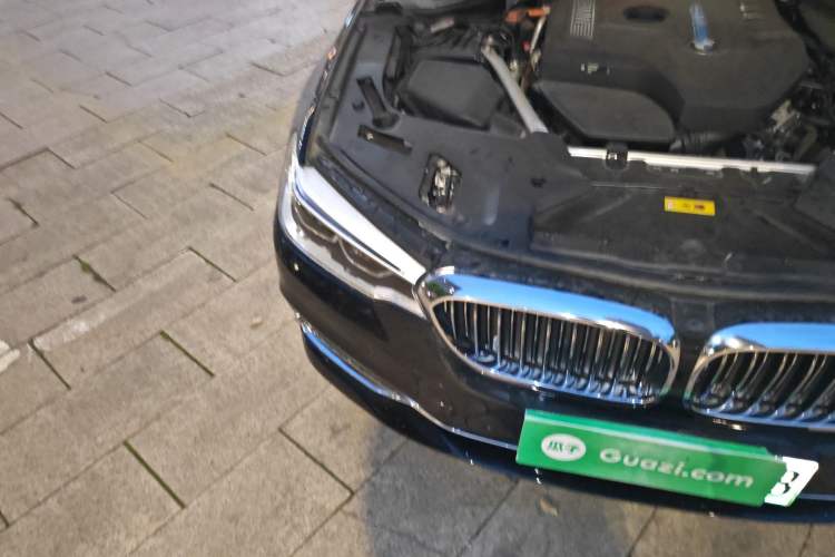 Used BMW 5 Series New Energy 2020 Mileage Upgrade Version 530Le Luxury Package