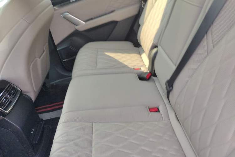 Used BYD Tang New Energy 2025 Intelligent Driving Version DM-i 115KM Flagship Edition Left Rear Seat