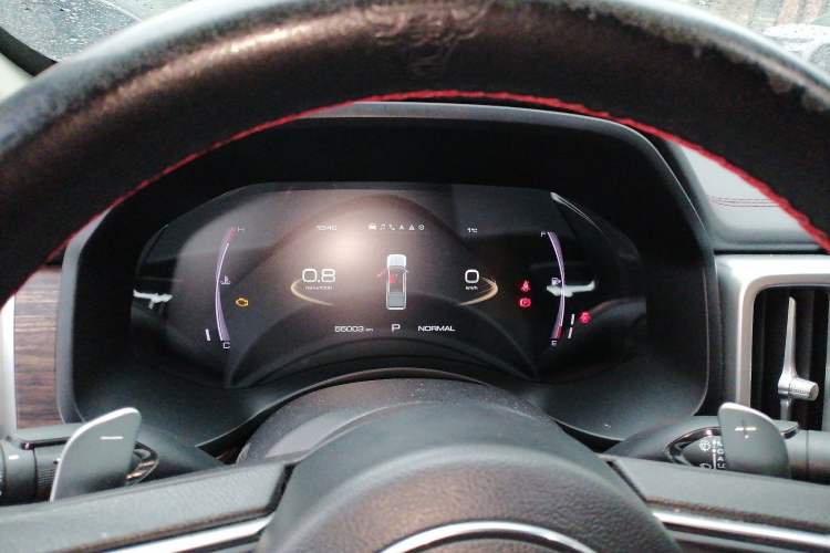 Used Great Wall Poer 2020 2.0T Off-Road Version Automatic Diesel 4x4 Advanced Edition GW4D20M
