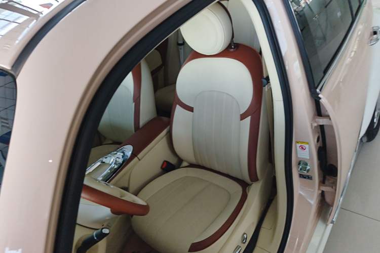 Used ORA Ballet Cat 2023 401 km Luxury Version Left Front Seat