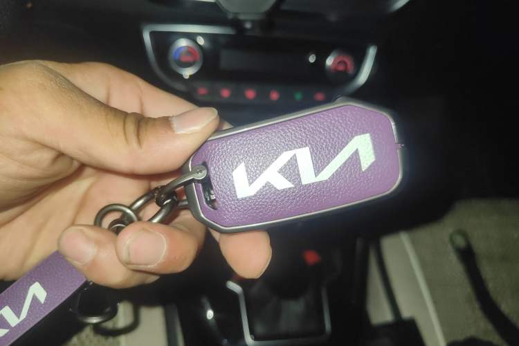 Used Kia Sportage R 2019 2.0L Automatic Smart Luxury Edition
