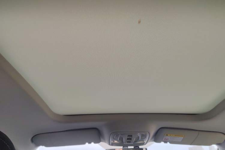 Used Roewe RX5 MAX 2022 1.5T Automatic Youwei Luxury Edition Headliner