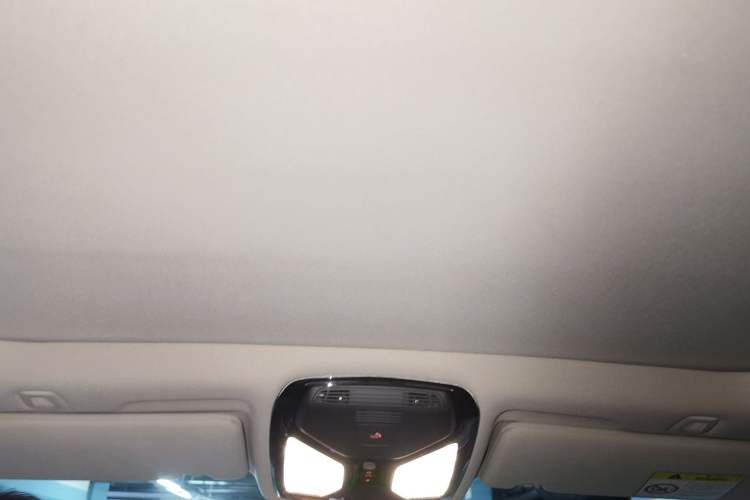 Used BMW 5 Series 2019 530Li xDrive Luxury Package Headliner