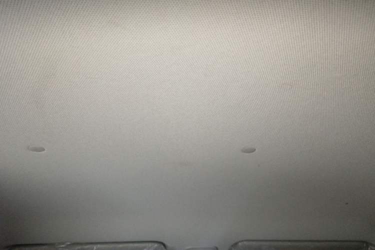 Used Wuling Hongguang MINIEV 2025 Four-Door Version Zhenxiang+ Edition Headliner