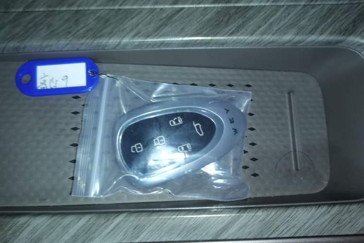 Used Wey Gaoshan 2025 Four-Wheel Drive Alpine 9
