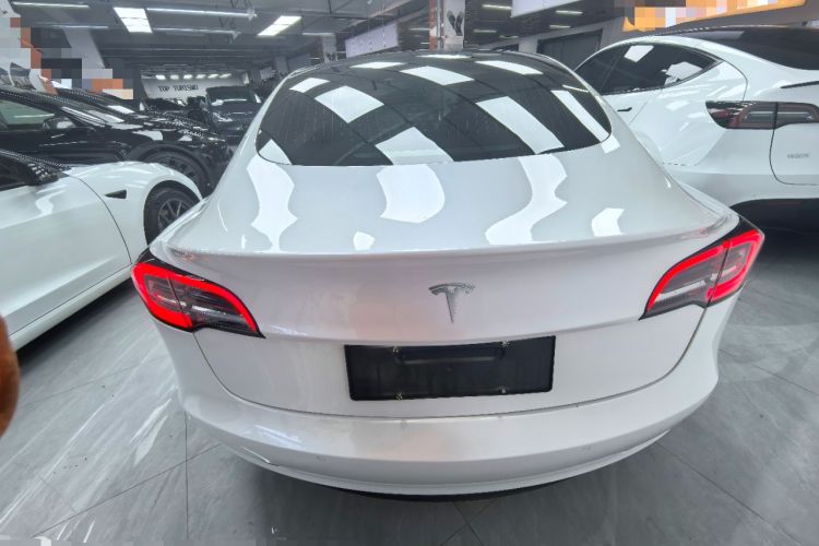 Used Tesla Model 3 2019 Long-Range Rear-Wheel-Drive Version