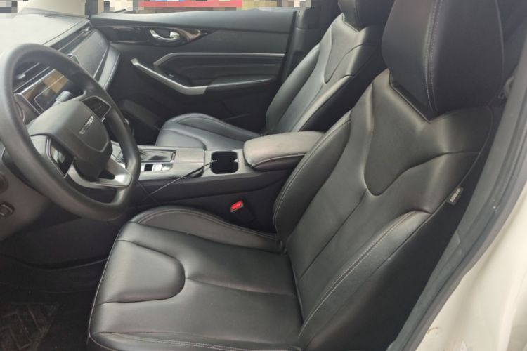 Used Venucia D60 2021 PLUS 1.6L XL CVT Yue Ling Edition Left Front Seat