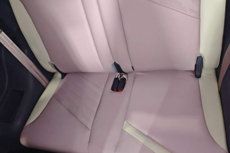 Used Chery Little Ant 2022 Revised Version Sweet Pink Edition Half-Sugar Version Lithium Iron Phosphate 30.7 kWh 30 kW 301 km Left Rear Seat