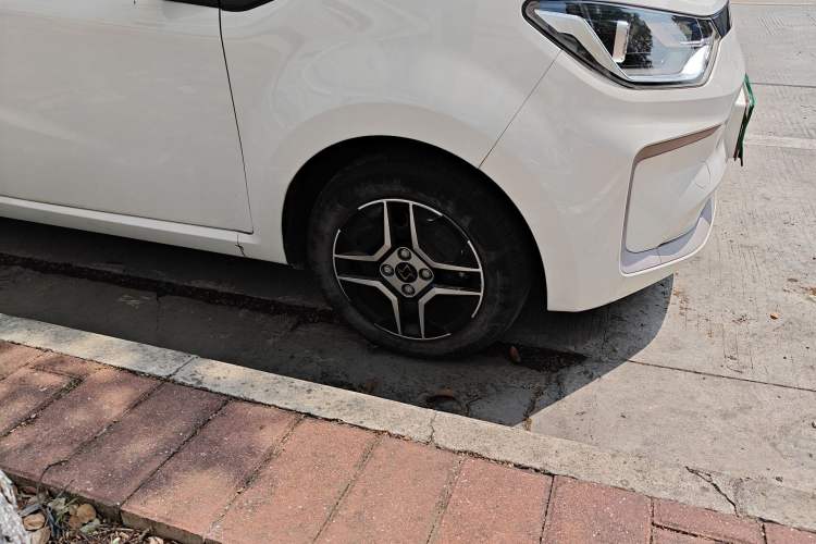 Used SOL E10X 2022 Flower Fairy Design Four-Leaf Clover