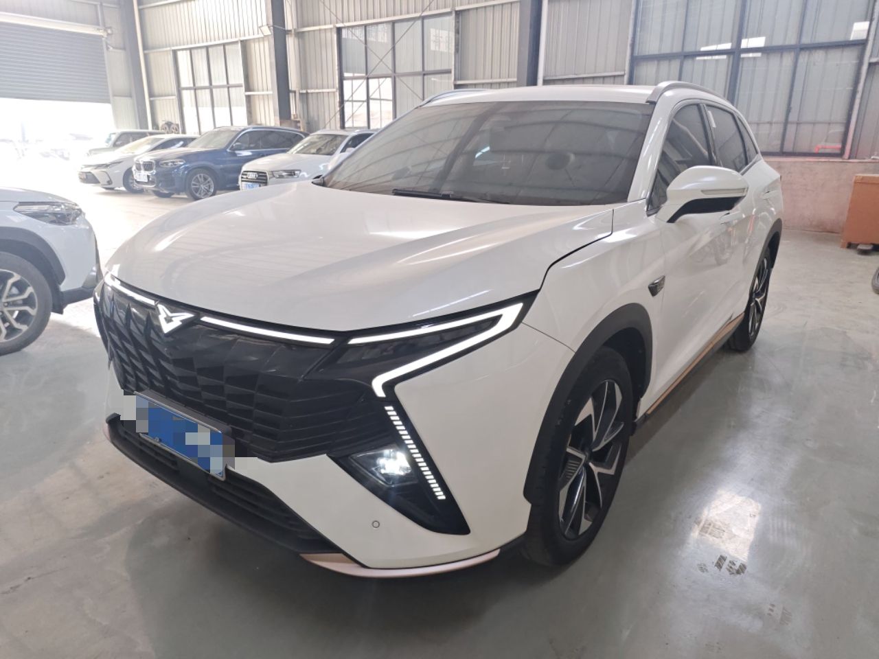 تحت مقدمة السيارة