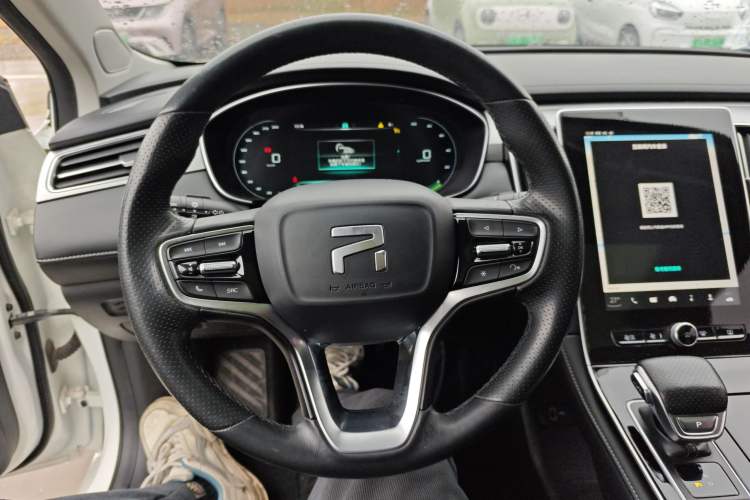 Used Rising ER6 2021 New Dynamic Edition 620km Smart Drive Version
