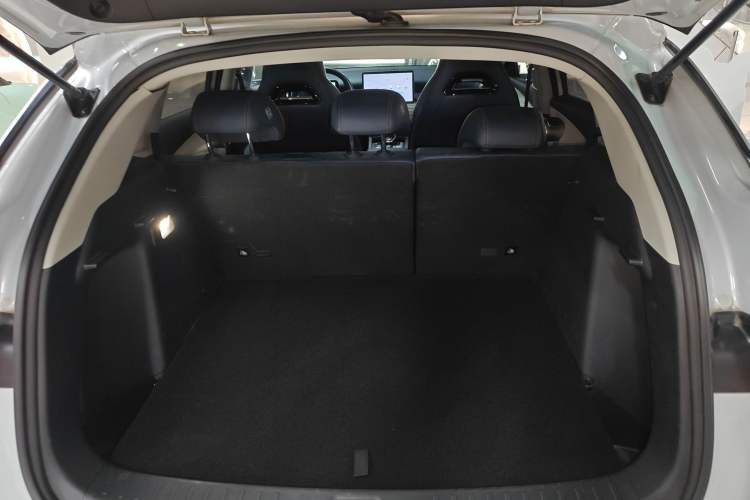 Used BYD Yuan PLUS 2022 510 km Luxury Version