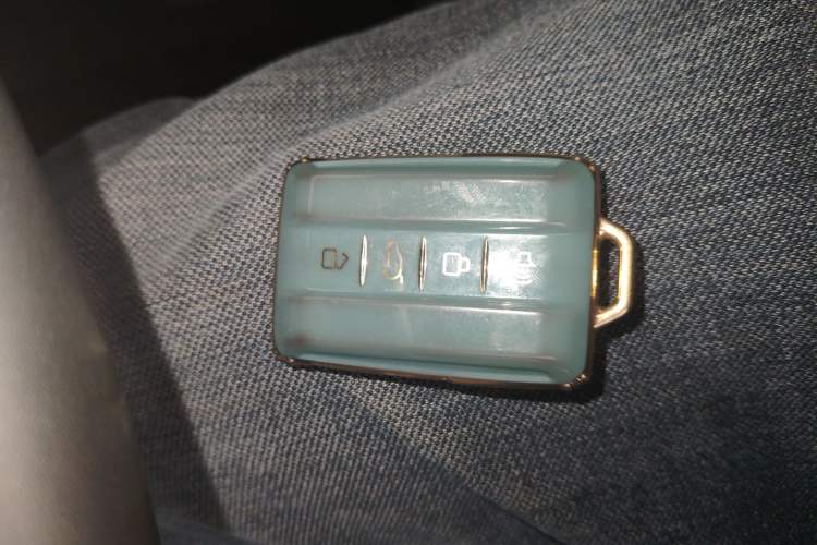 Used Tank 300 2024 2.0T Conqueror
