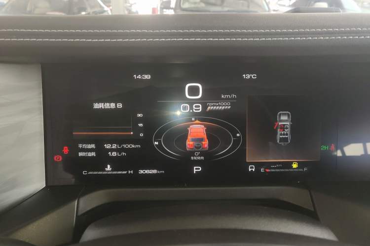 Used Tank 300 2024 2.0T Conqueror