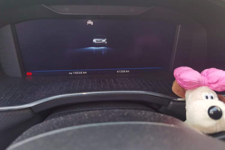 Used Skoda Kodiaq 2022 TSI330 7-Seater Two-Wheel-Drive Luxury Edition