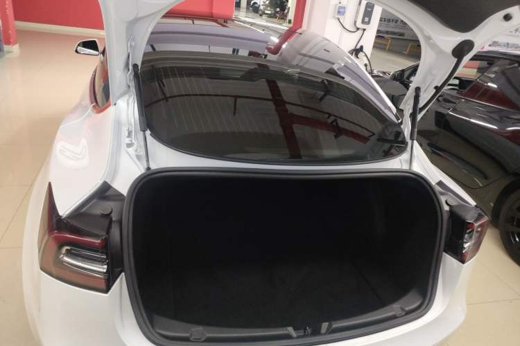 Used Tesla Model 3 2020 Standard Range Rear-Wheel Drive Upgraded Version Trunk