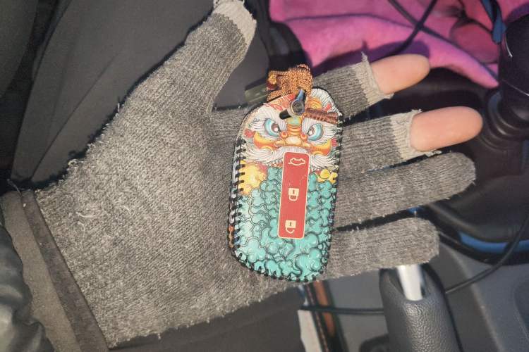 Used Baojun RC-6 2019 1.5T Manual 24-Hour Online Luxury Version