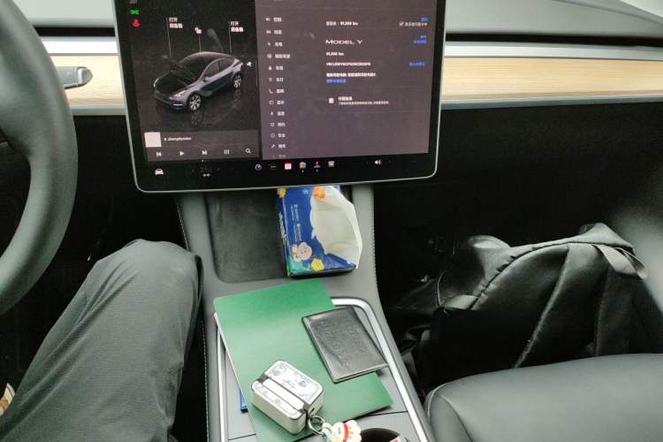 Used Tesla Model Y 2022 Rear-Wheel-Drive Version