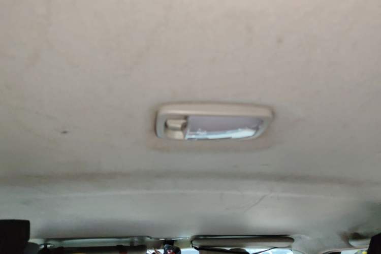 Used Great Wall M2 2010 1.5L CVT Luxury Edition Headliner